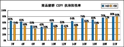2018年全国猪瘟 (12).jpg